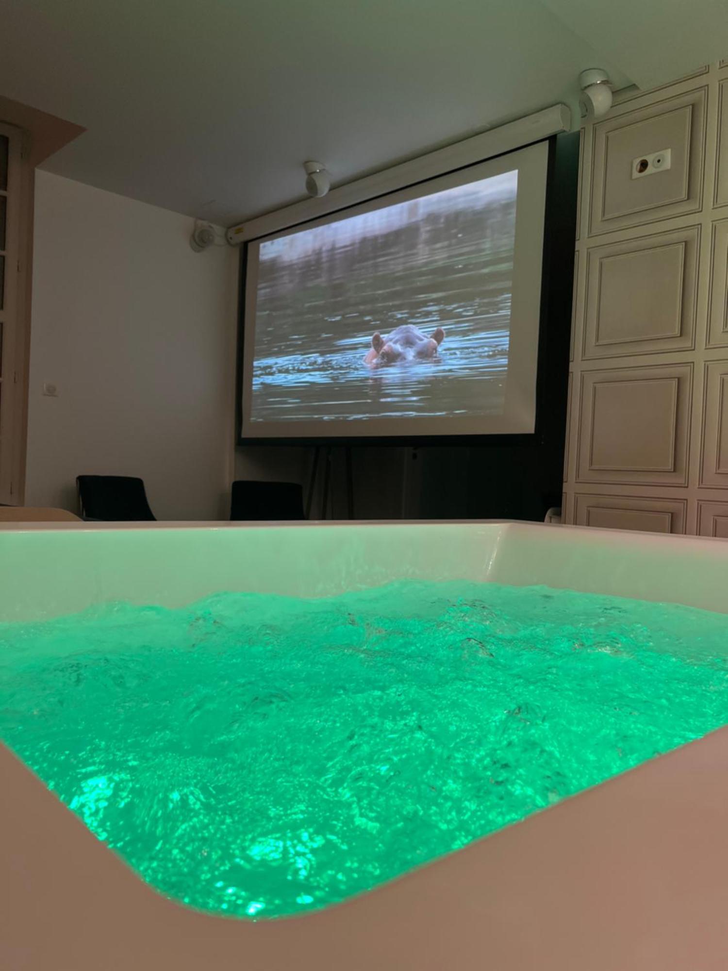 Appartement Avec Jacuzzi Sauna & Home Cinema - Nid D'Angers Extérieur photo